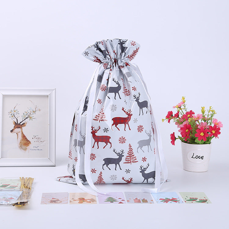 Christmas gift bag