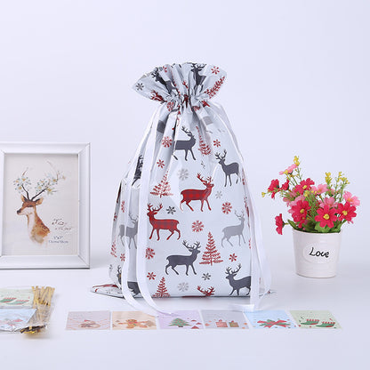 Christmas gift bag