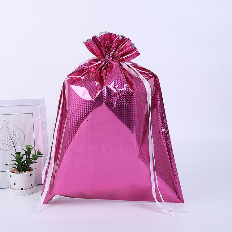 Christmas gift bag