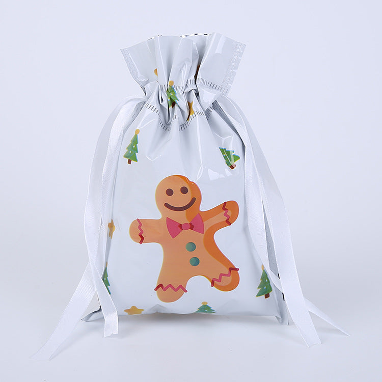 Christmas gift bag
