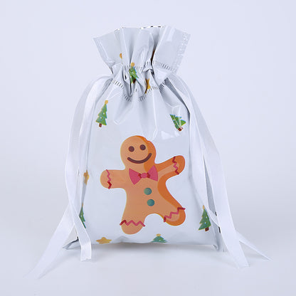 Christmas gift bag