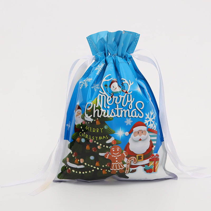 Christmas gift bag