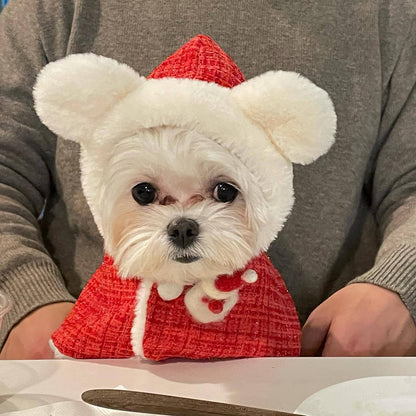 Christmas warm-up doggy Christmas outfit