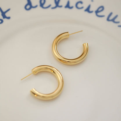 Circular earrings
