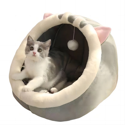 Closed cat bed