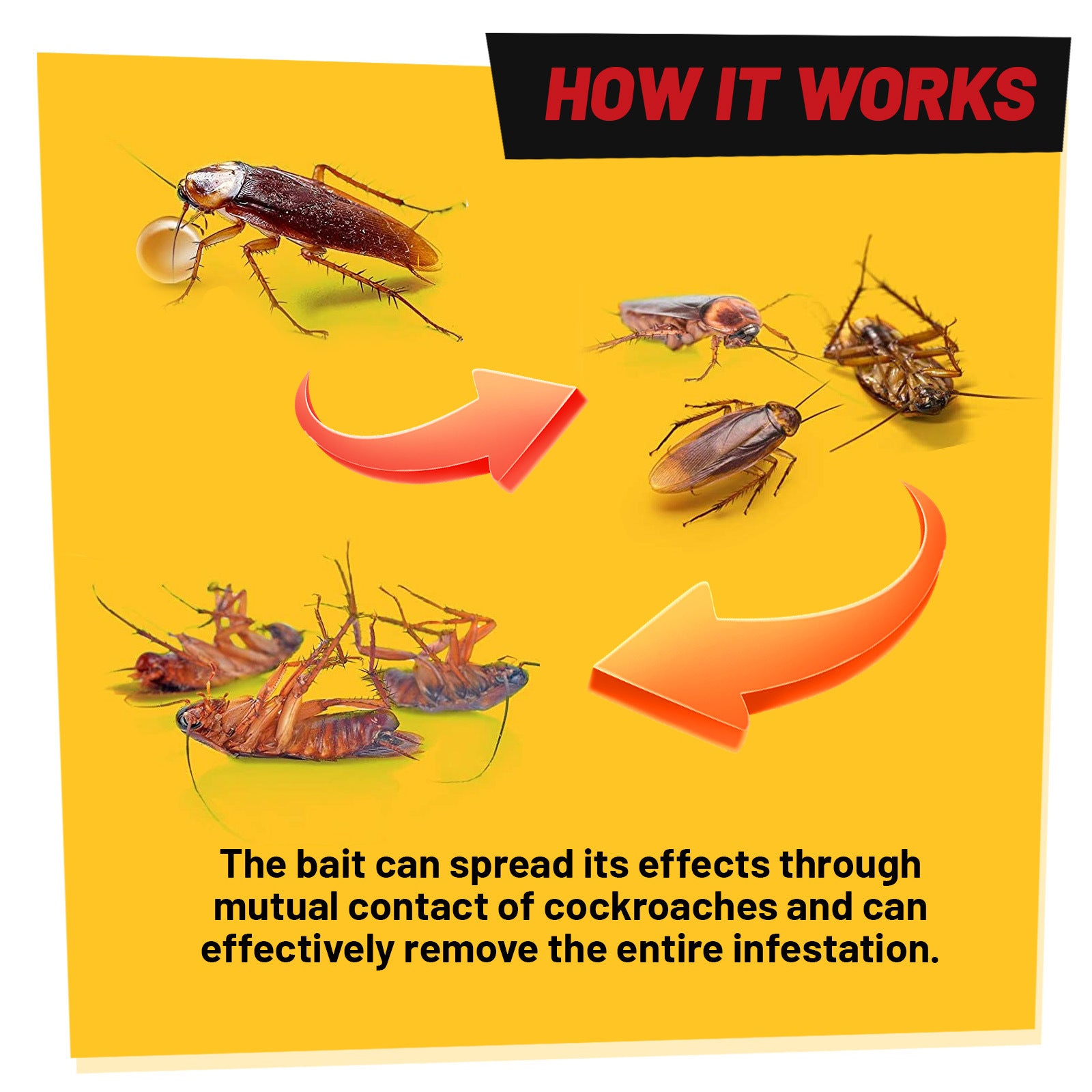 Cockroach Elimination Bait Gel