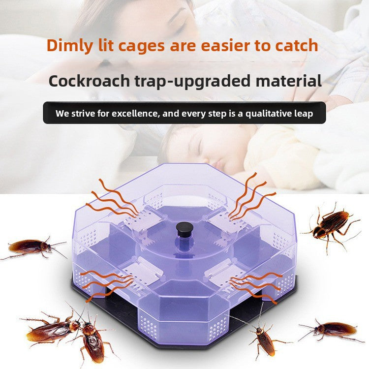 Cockroach Trap Box