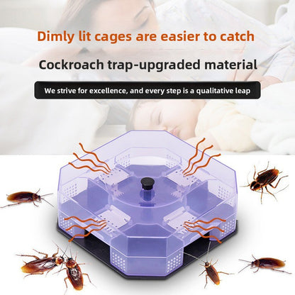 Cockroach Trap Box