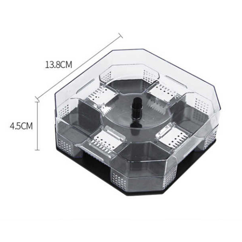 Cockroach Trap Box