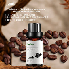 Fruit fragrance Coffee10ml