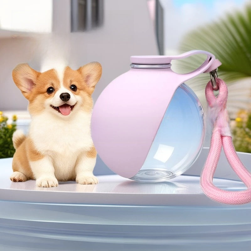 Collapsible Pet Water Bottle