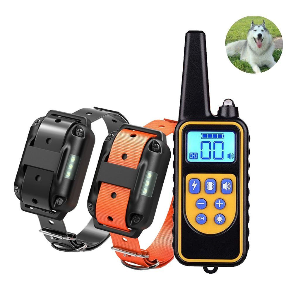 Collar dog training device