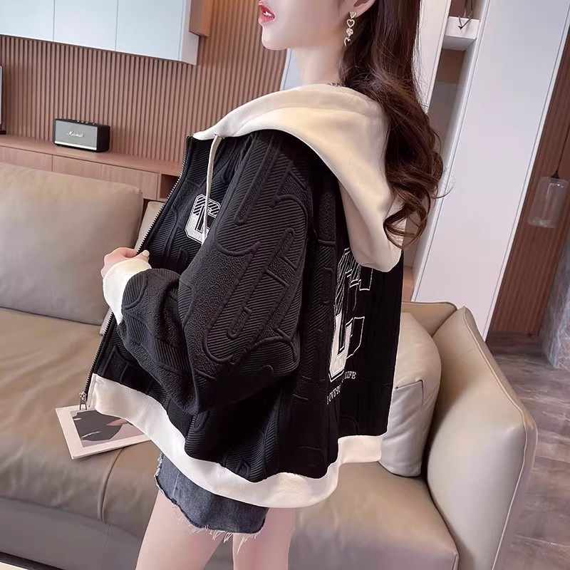 Color Block Hooded Jacket