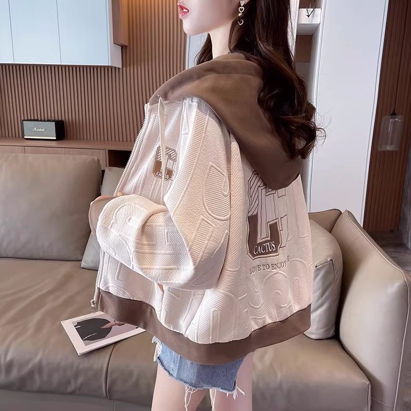 Color Block Hooded Jacket