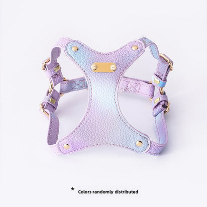 Colorful Dog Cat Harness and Leash Set