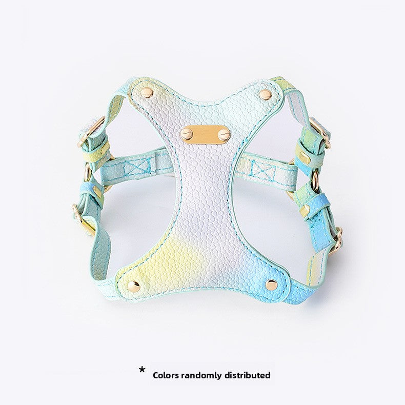 Colorful Dog Cat Harness and Leash Set