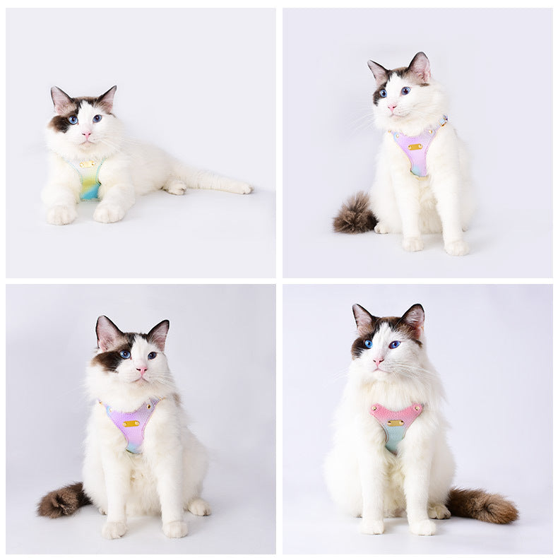 Colorful Dog Cat Harness and Leash Set