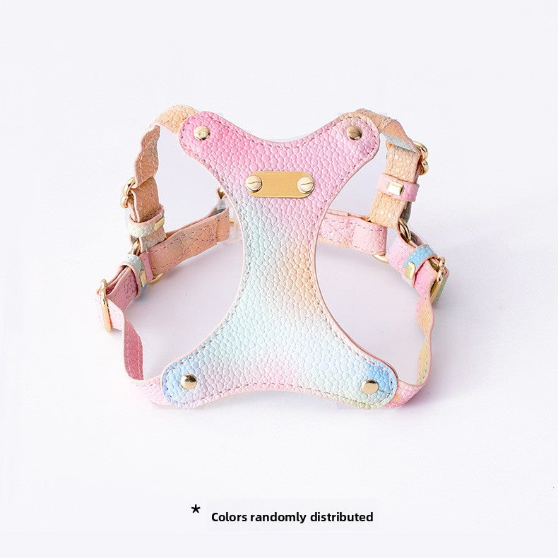 Colorful Dog Cat Harness and Leash Set