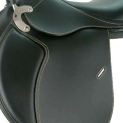 Combined Equestrian Tack