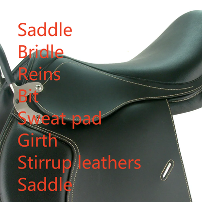 Combined Equestrian Tack