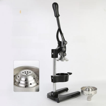 Commercial Manual Juicer