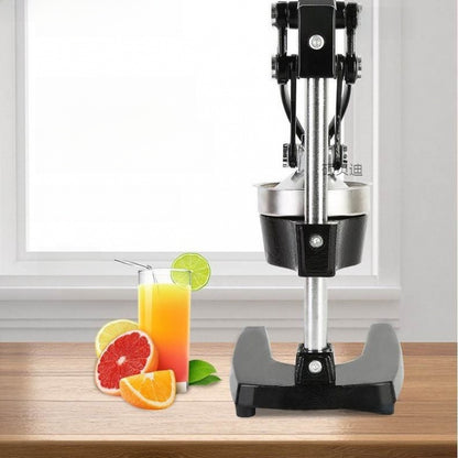 Commercial Manual Juicer