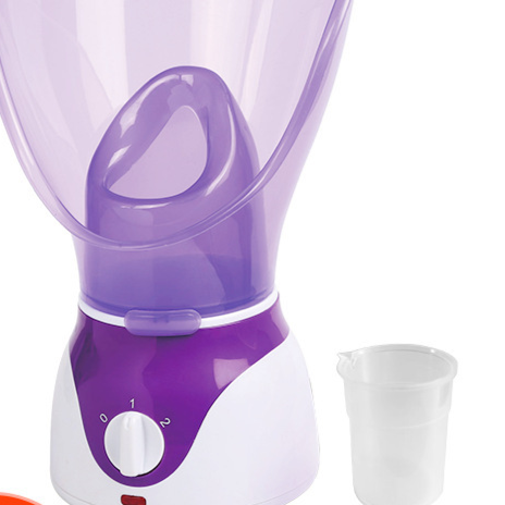 Compact Home Facial Steamer with Adjustable Steam