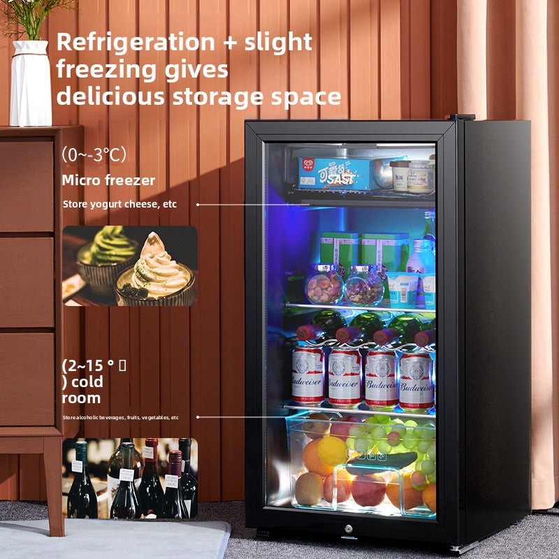 Compact Mini Refrigerator