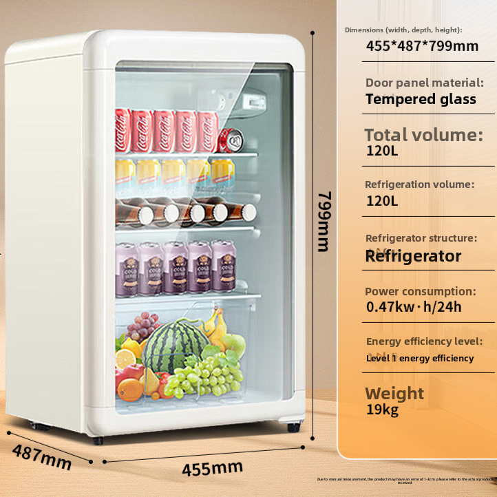 Compact Mini Refrigerator