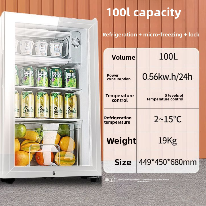 Compact Mini Refrigerator