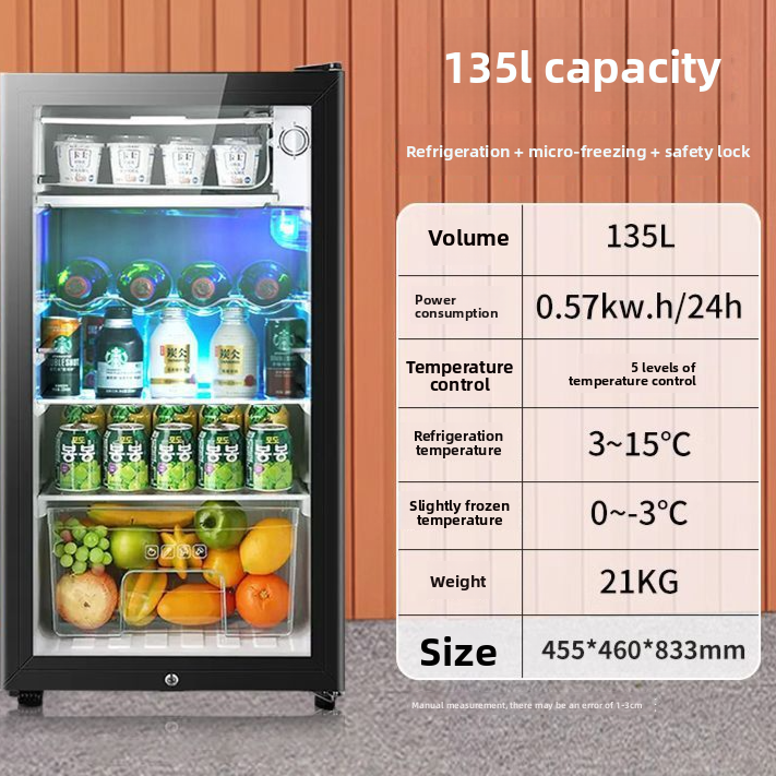 Compact Mini Refrigerator