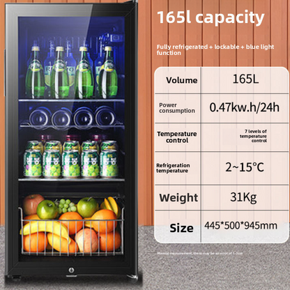 Compact Mini Refrigerator