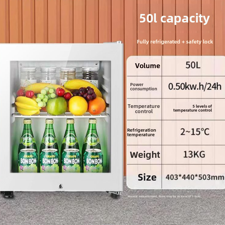 Compact Mini Refrigerator