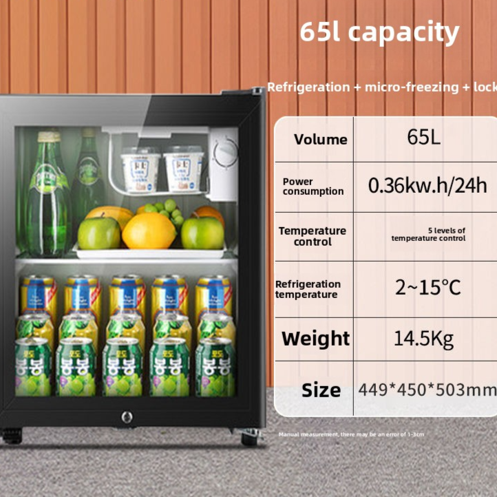 Compact Mini Refrigerator