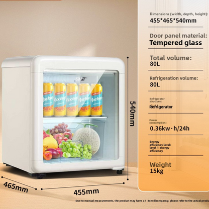 Compact Mini Refrigerator