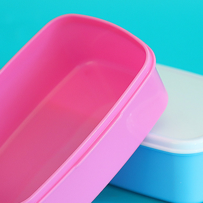 Compartmentalized Convenient Lunch Box