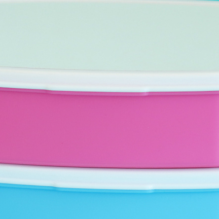 Compartmentalized Convenient Lunch Box