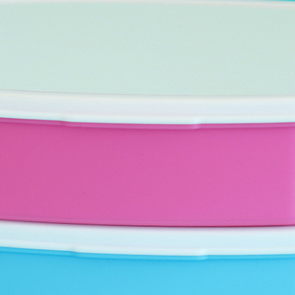 Compartmentalized Convenient Lunch Box