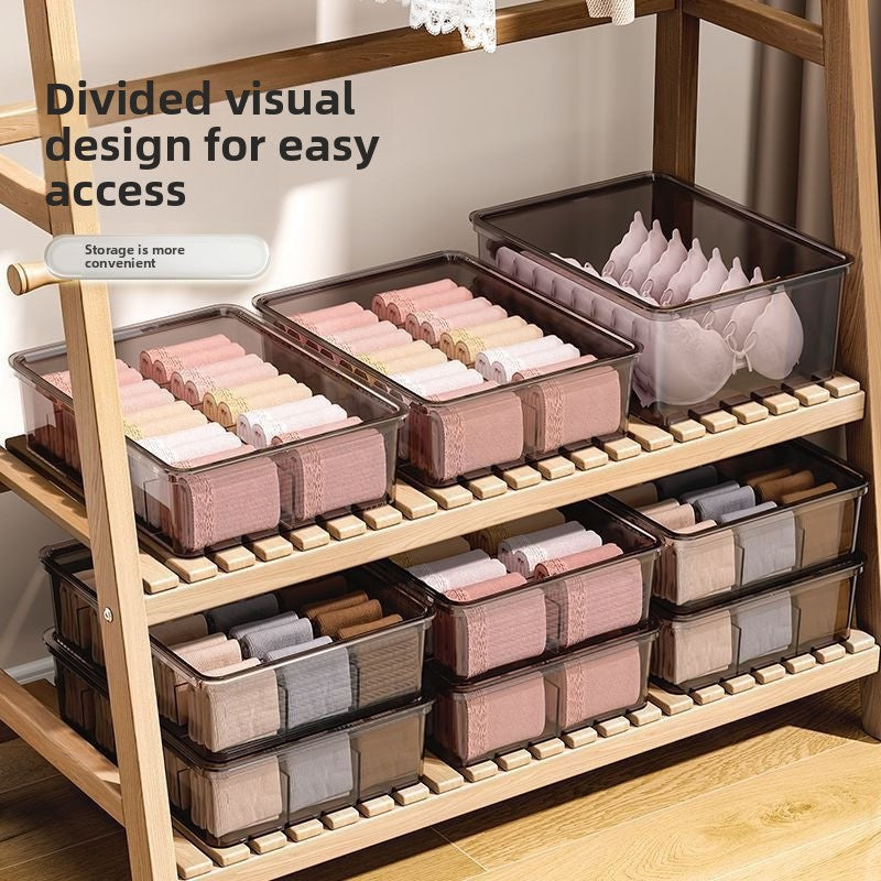 Compartmentalized Underwear Storage Box with Cover
