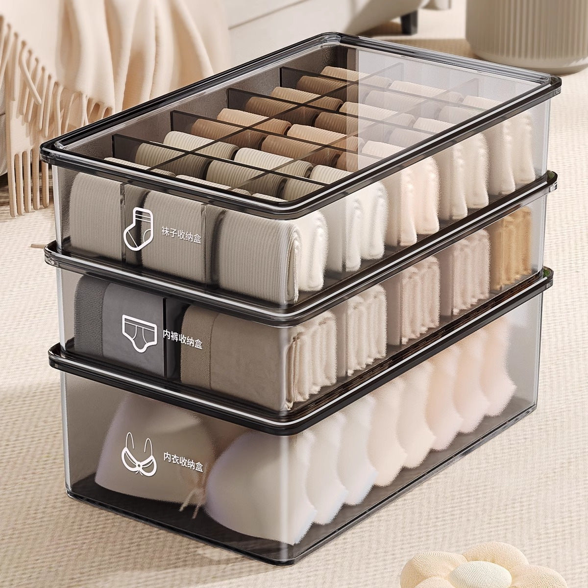 Compartmentalized Underwear Storage Box with Cover