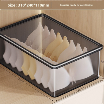 Compartmentalized Underwear Storage Box with Cover