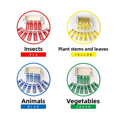 Complete set of microscopic specimens of animals, plants and insects