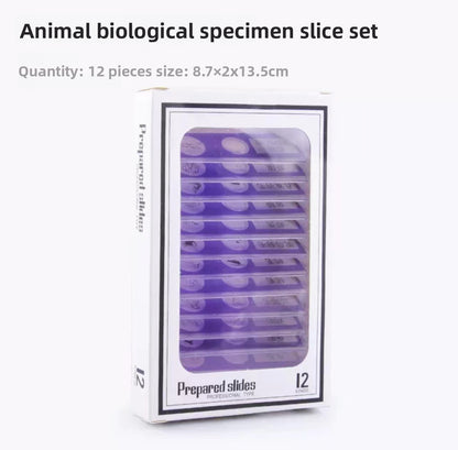 Complete set of microscopic specimens of animals, plants and insects