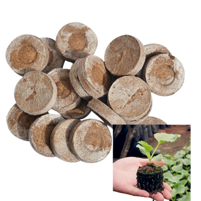 Compressed Plant Seedling Growing Blocks