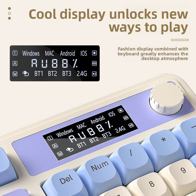 Computer Keyboard
