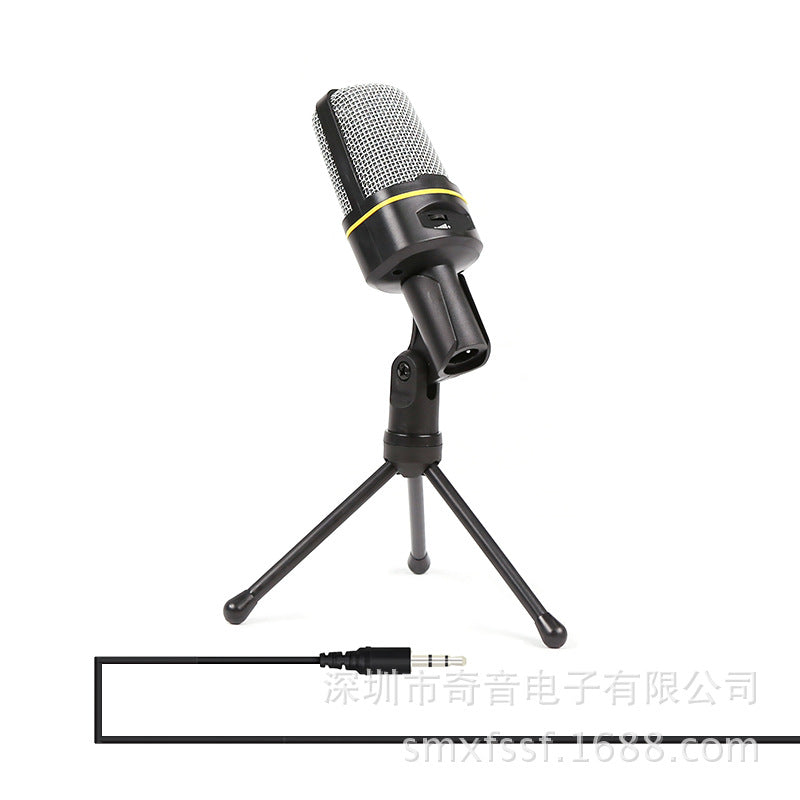 Computer Microphone