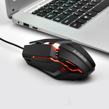 Computer Mouse