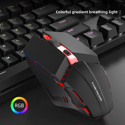 Computer Mouse