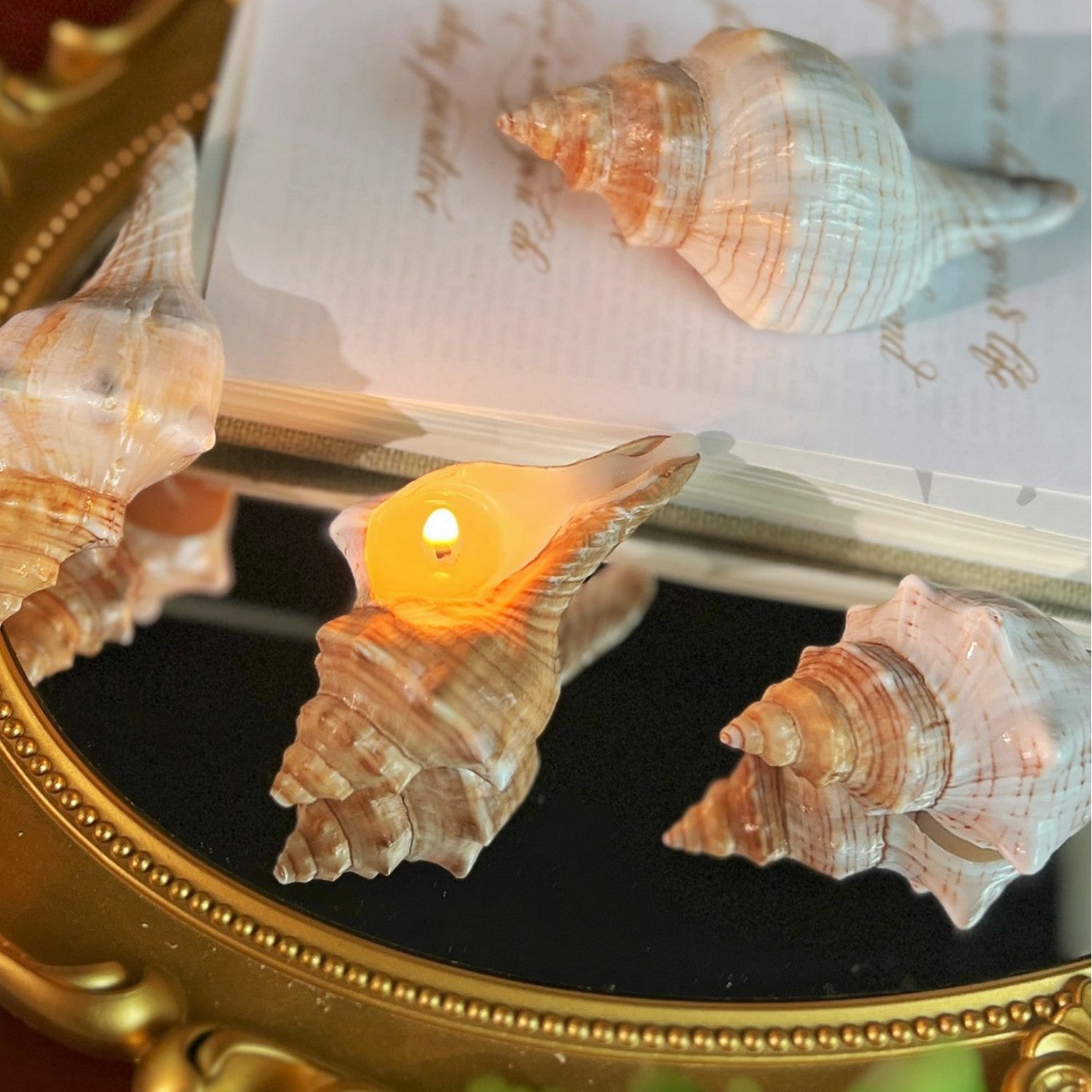 Conch Aromatherapy Candle