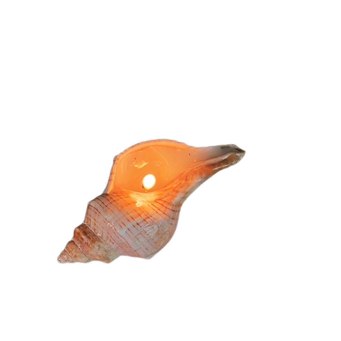 Conch Aromatherapy Candle